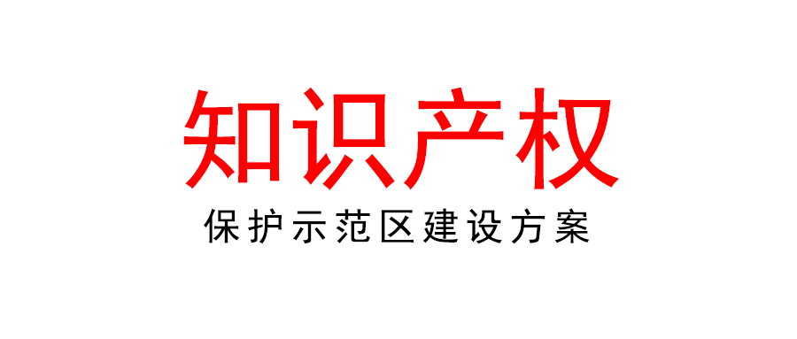 国家知识产权局关于印发《国家知识产权保护示范区建设方案》的通知