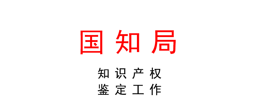 国家知识产权局关于加强知识产权鉴定工作的指导意见