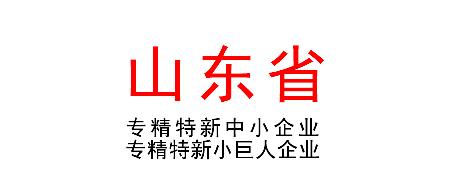 山东省关于开展2023年度专精特新中小企业培育认定和专精特新“小巨人”企业申报（复核）推荐工作的通知